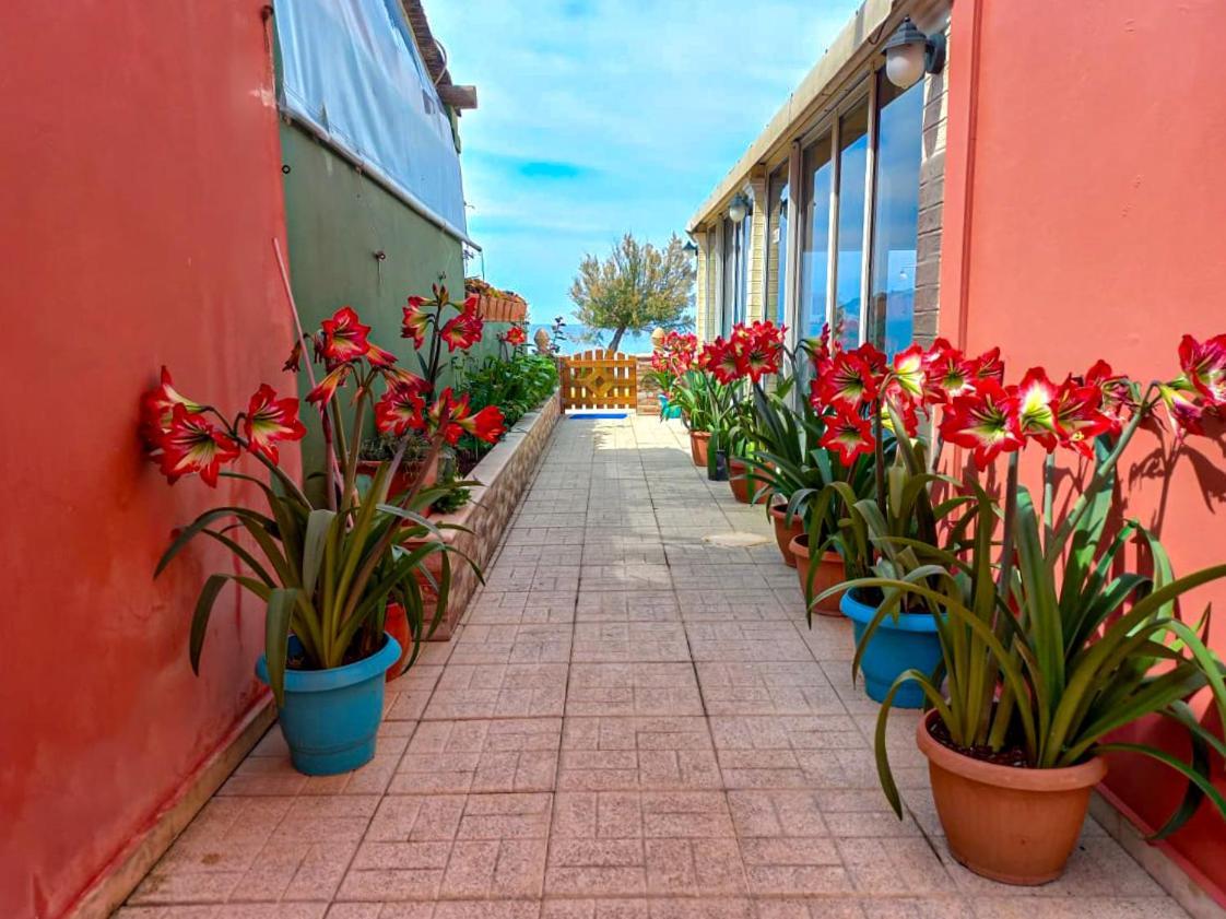 Porto-Fino Otel Arillas  Dış mekan fotoğraf