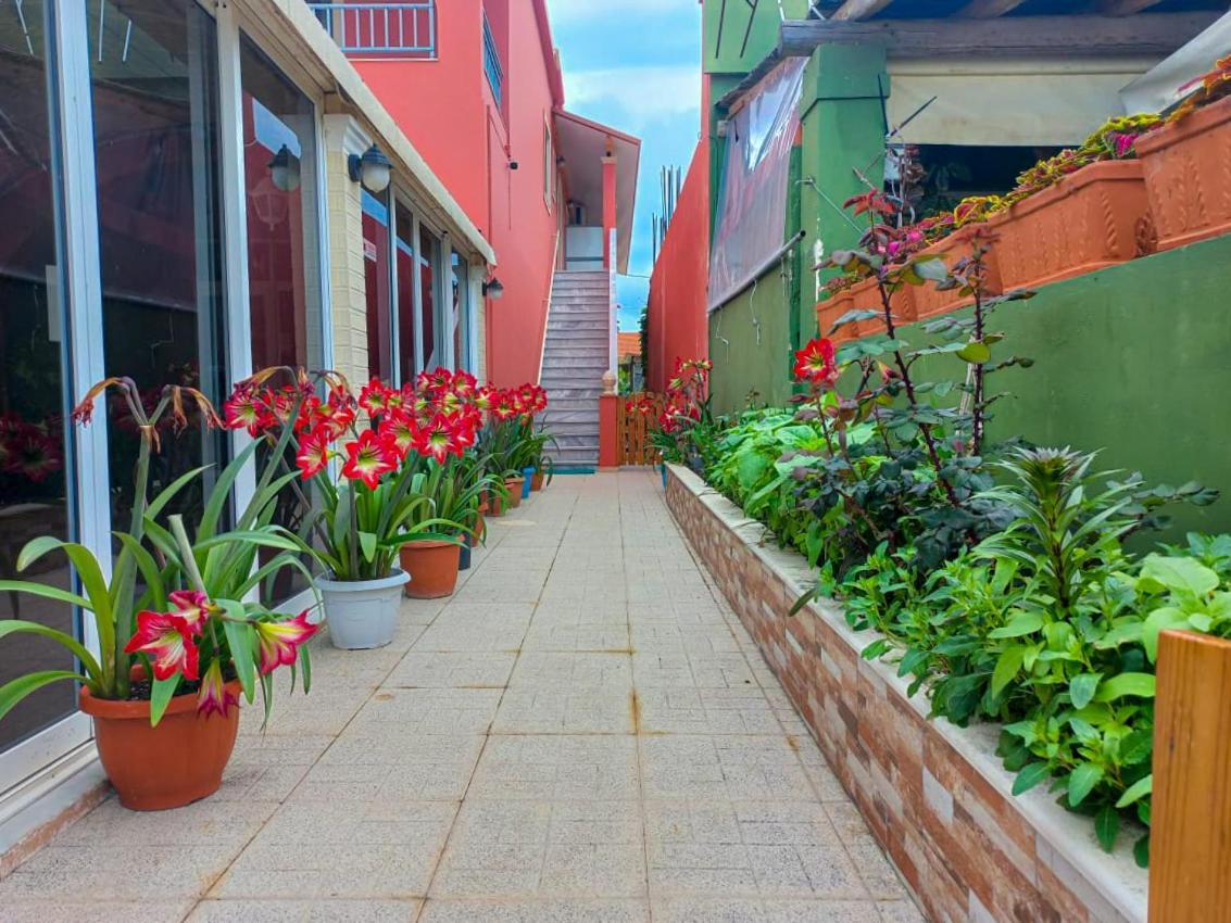 Porto-Fino Otel Arillas  Dış mekan fotoğraf